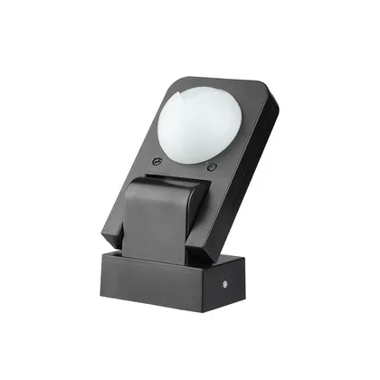 Infrarød sensor IP65 sort (20 m, 1000 W)